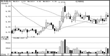 軟件開發(fā)在公司研究中的關(guān)鍵作用及實施策略