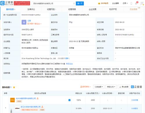 計算機系統集成服務 連接數字未來的橋梁